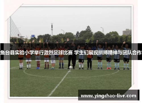 鱼台县实验小学举行激烈足球比赛 学生们展现拼搏精神与团队合作